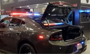 Expo Seguridad 2022 - Expos en México