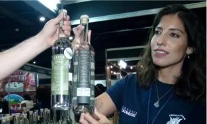 Agave Fest 2022 - Exposmexico.com