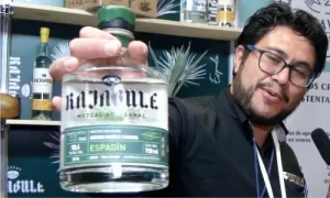 Agave Fest 2022 - Exposmexico.com