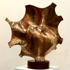 Zona Maco Arte Contemporáneo exposmexico.com