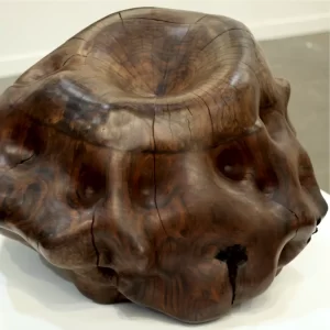 Zona Maco Arte Contemporáneo exposmexico.com