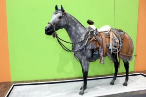 Disfruta de las atracciones que nuestro país ofrece al turismo en el Tianguis Turístico 2023 exposmexico.com